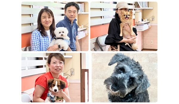 犬のしつけ教室・出張レッスン・無駄吠えの矯正レッスンを行うドッグスクールヴィッセの今日のわん子達～６月14日～