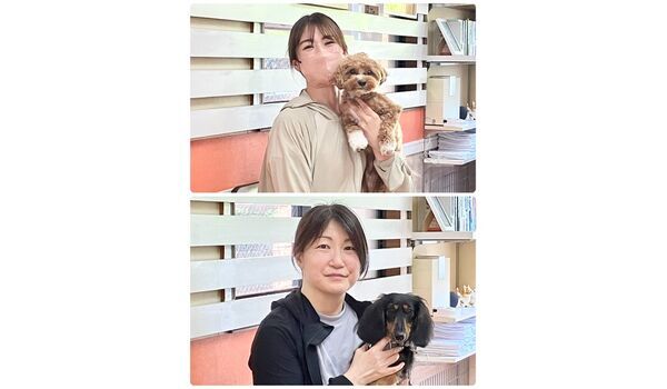 犬のしつけ教室・出張レッスン・無駄吠えの矯正レッスンを行うドッグスクールヴィッセの今日のわん子達～6月27日～