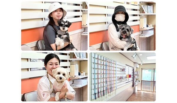 犬のしつけ教室・出張レッスン・無駄吠えの矯正レッスンを行うドッグスクールヴィッセの今日のわん子達～6月29日～