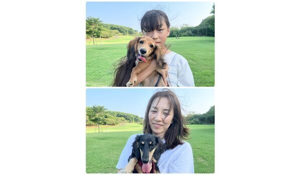 犬のしつけ教室・出張レッスン・無駄吠えの矯正レッスンを行うドッグスクールヴィッセの今日のわん子達～7月9日～