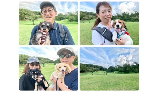 犬のしつけ教室・出張レッスン・無駄吠えの矯正レッスンを行うドッグスクールヴィッセの今日のわん子達～7月13日～