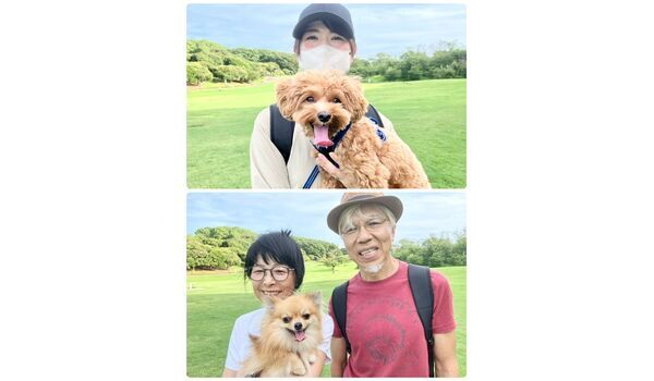 犬のしつけ教室・出張レッスン・無駄吠えの矯正レッスンを行うドッグスクールヴィッセの今日のわん子達～7月17日～
