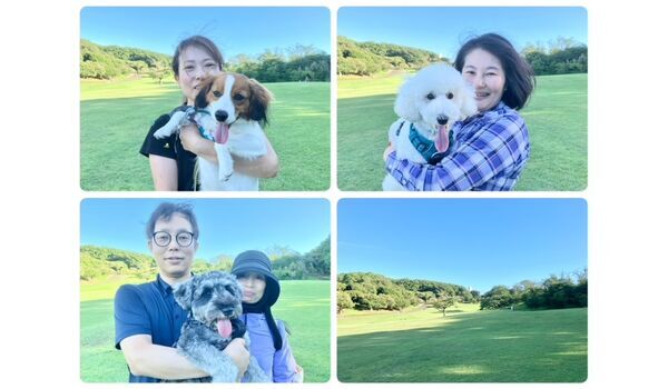 犬のしつけ教室・出張レッスン・無駄吠えの矯正レッスンを行うドッグスクールヴィッセの今日のわん子達～7月20日～