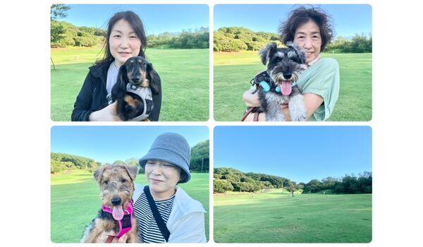 犬のしつけ教室・出張レッスン・無駄吠えの矯正レッスンを行うドッグスクールヴィッセの今日のわん子達～7月25日～