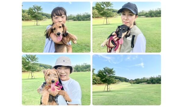 犬のしつけ教室・出張レッスン・無駄吠えの矯正レッスンを行うドッグスクールヴィッセの今日のわん子達～8月6日～