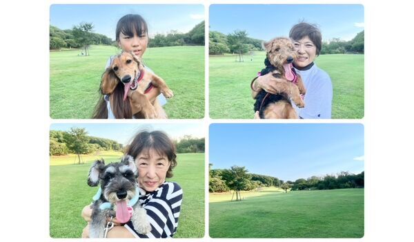 犬のしつけ教室・出張レッスン・無駄吠えの矯正レッスンを行うドッグスクールヴィッセの今日のわん子達～8月20日～