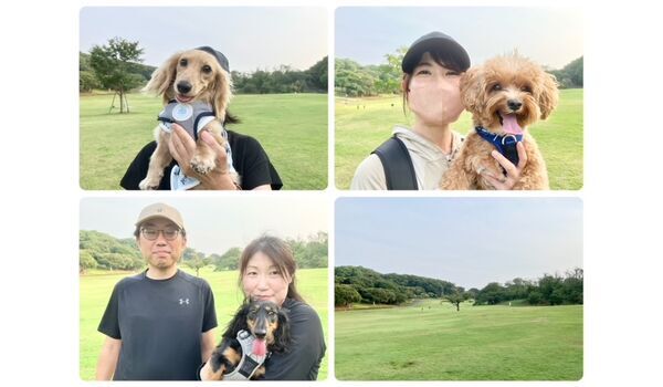 犬のしつけ教室・出張レッスン・無駄吠えの矯正レッスンを行うドッグスクールヴィッセの今日のわん子達～8月22日～