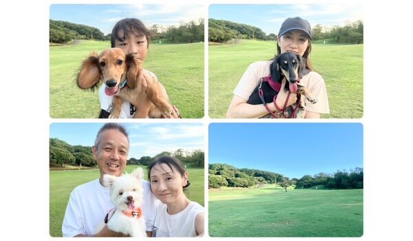 犬のしつけ教室・出張レッスン・無駄吠えの矯正レッスンを行うドッグスクールヴィッセの今日のわん子達　　～9月10日～