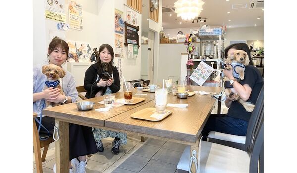 犬のしつけ教室・出張レッスン・無駄吠えの矯正レッスンを行うドッグスクールヴィッセの今日のわん子達　　～9月12日～