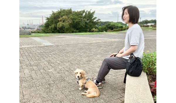 犬のしつけ教室・出張レッスン・無駄吠えの矯正レッスンを行うドッグスクールヴィッセ～暴露療法～
