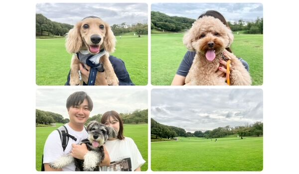 犬のしつけ教室・出張レッスン・無駄吠えの矯正レッスンを行うドッグスクールヴィッセの今日のわん子達です～9月20日～