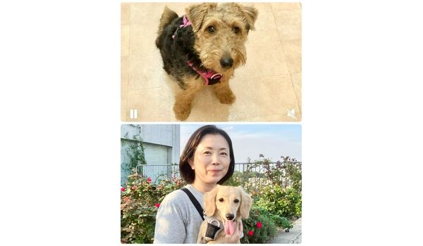 犬のしつけ教室・出張レッスン・無駄吠えの矯正レッスンを行うドッグスクールヴィッセの今日のわん子達～９月26日～