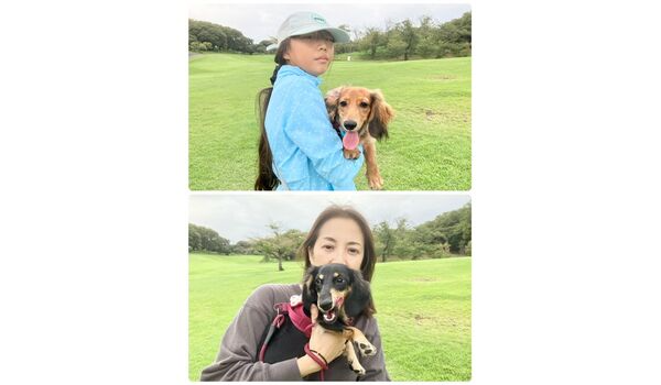 犬のしつけ教室・出張レッスン・無駄吠えの矯正レッスンを行うドッグスクールヴィッセの今日のわん子達～10月1日～