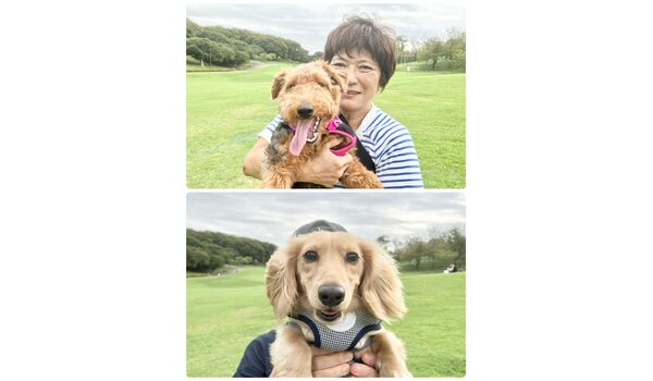 犬のしつけ教室・出張レッスン・無駄吠えの矯正レッスンを行うドッグスクールヴィッセの今日のわん子達～10月9日～