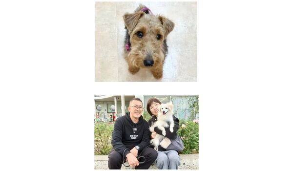 犬のしつけ教室・出張レッスン・無駄吠えの矯正レッスンを行うドッグスクールヴィッセの今日のわん子達～10月23日～