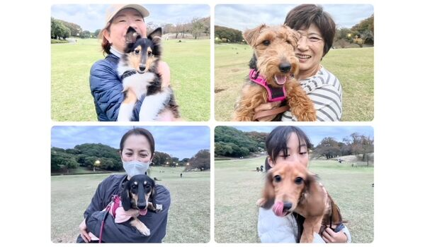 犬のしつけ教室・出張レッスン・無駄吠えの矯正レッスンを行うドッグスクールヴィッセの今日のわん子達～11月5日～