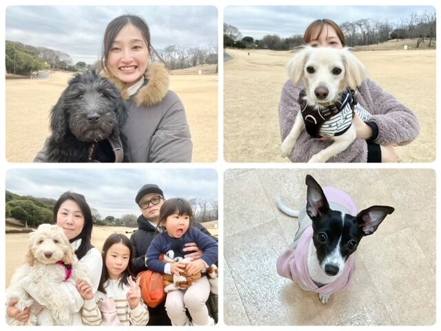 犬のしつけ教室・出張レッスン・無駄吠えの矯正レッスンを行うドッグスクールヴィッセ　今日のわん子達～1月28日～