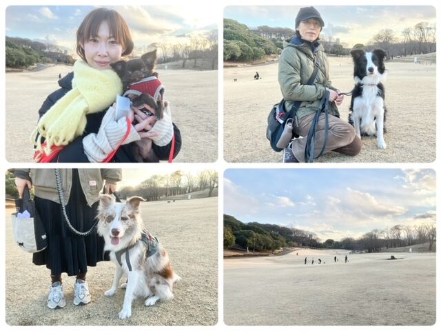 犬のしつけ教室・出張レッスン・無駄吠えの矯正レッスンを行うドッグスクールヴィッセ　今日のわん子達～1月29日～