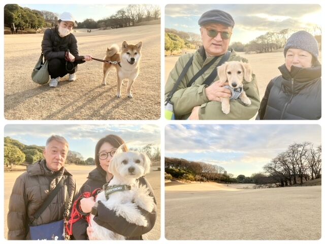 犬のしつけ教室・出張レッスン・無駄吠えの矯正レッスンを行うドッグスクールヴィッセ　今日のわん子達～1月30日～