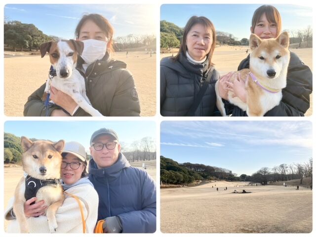 犬のしつけ教室・出張レッスン・無駄吠えの矯正レッスンを行うドッグスクールヴィッセ　今日のわん子達～1月31日