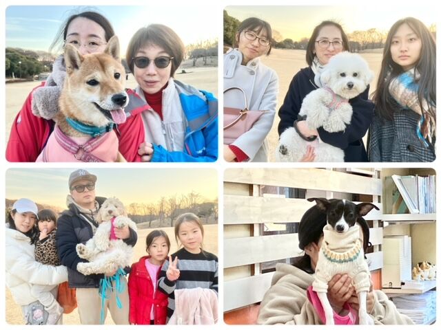 犬のしつけ教室・出張レッスン・無駄吠えの矯正レッスンを行うドッグスクールヴィッセ　今日のわん子達