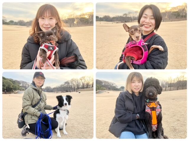 犬のしつけ教室・出張レッスン・無駄吠えの矯正レッスンを行うドッグスクールヴィッセ　今日のわん子達