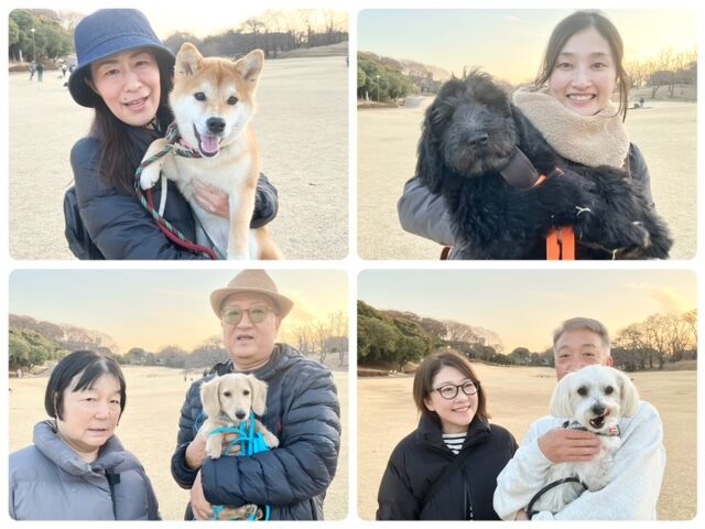 犬のしつけ教室・出張レッスン・無駄吠えの矯正レッスンを行うドッグスクールヴィッセ　今日のわん子達