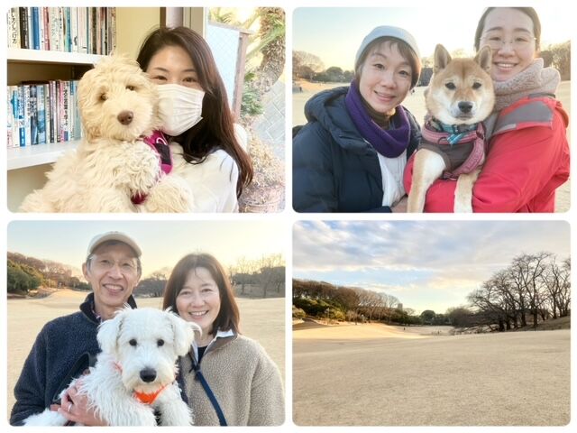 横浜市の犬のしつけ教室・出張レッスン・無駄吠えの矯正レッスンを行うドッグスクールヴィッセ今日のわん子達
