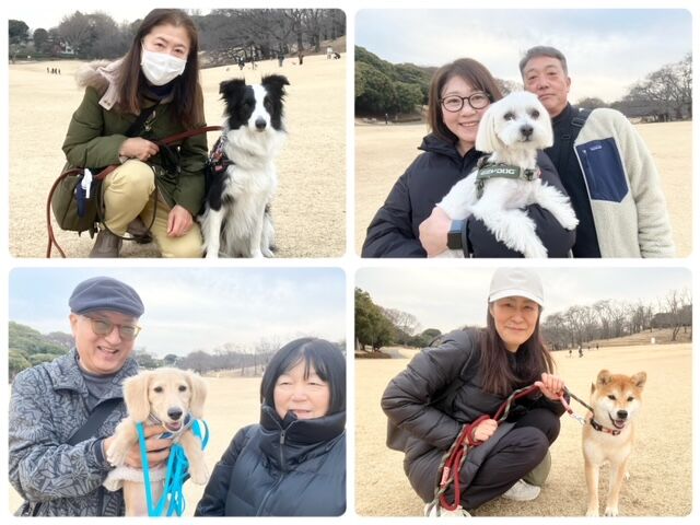 横浜市の犬のしつけ教室・出張レッスン・無駄吠えの矯正レッスンをドッグスクールヴィッセ今日のわん子達