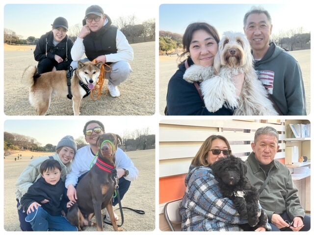 横浜市の犬のしつけ教室・出張レッスン・無駄吠えの矯正レッスンを行うドッグスクールヴィッセの今日のわん子達