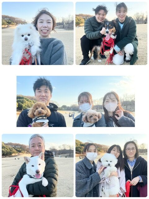 横浜市の犬のしつけ教室・出張レッスン・無駄吠えの矯正レッスンを行うドッグスクールヴィッセの今日のわん子達