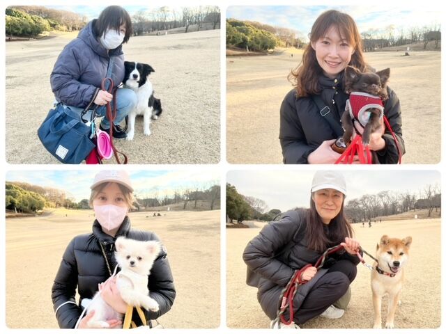 横浜市の犬のしつけ教室・出張レッスン・無駄吠えの矯正レッスンを行うドッグスクールヴィッセ今日のわん子達
