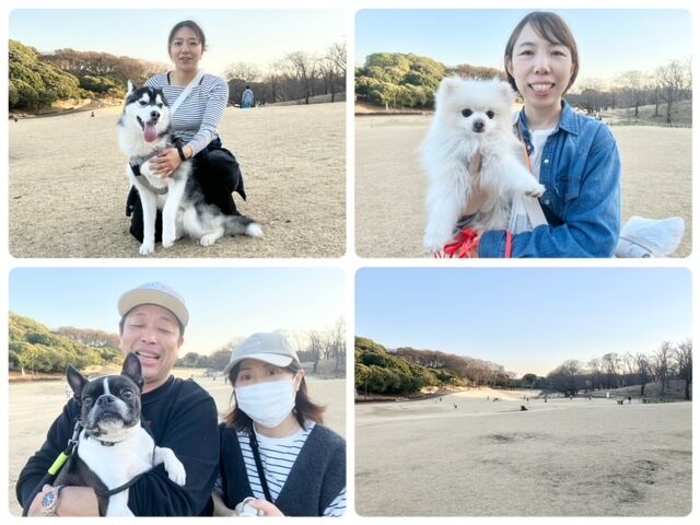 横浜市の犬のしつけ教室・出張レッスン・無駄吠えの矯正レッスンを行うドッグスクールヴィッセの今日のわん子達