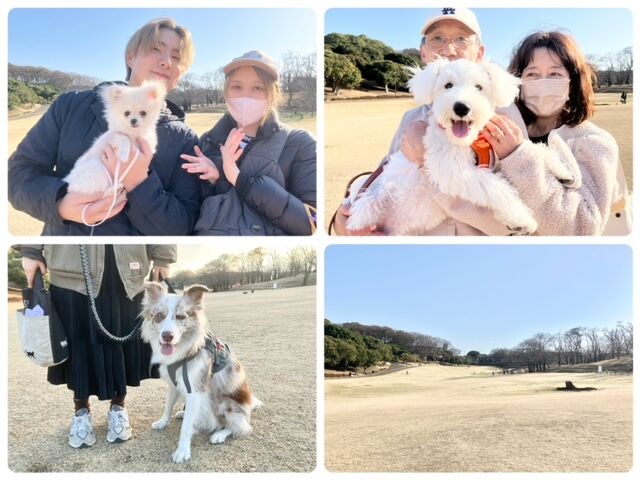 横浜市の犬のしつけ教室・出張レッスン・無駄吠えの矯正レッスンを行うドッグスクールヴィッセの今日のわん子達