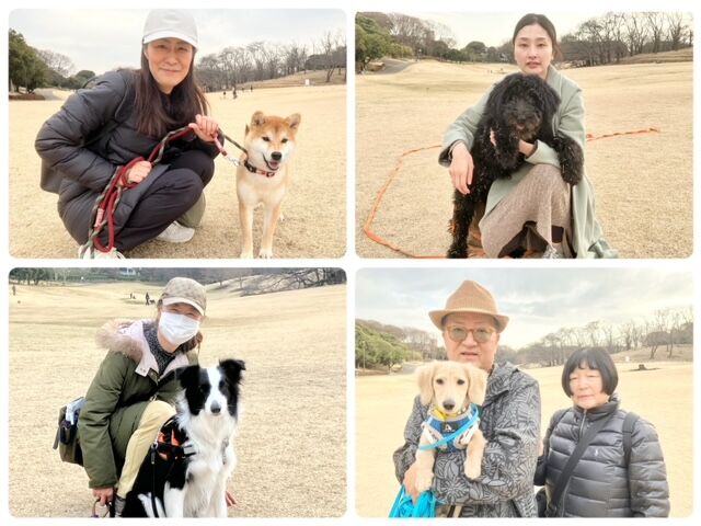 横浜市の犬のしつけ教室・出張レッスン・無駄吠えの矯正レッスンを行うドッグスクールヴィッセの今日のわん子達