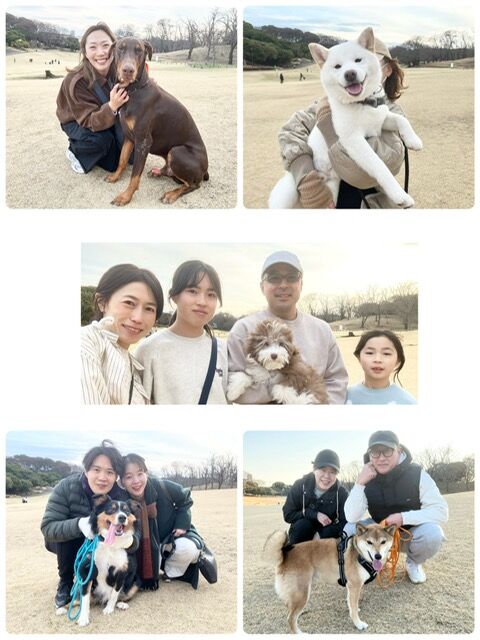 横浜市の犬のしつけ教室・出張レッスン・無駄吠えの矯正レッスンを行うドッグスクールヴィッセの今日のわん子達