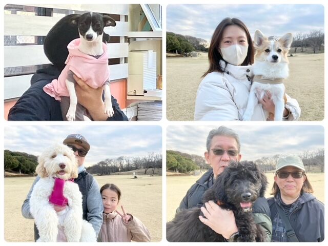 横浜市の犬のしつけ教室・出張レッスン・無駄吠えの矯正レッスンを行うドッグスクールヴィッセの今日のわん子達