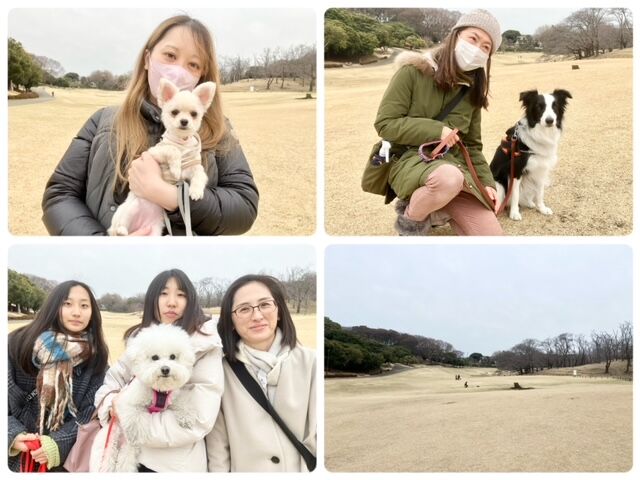 横浜市の犬のしつけ教室・出張レッスン・無駄吠えの矯正レッスンを行うドッグスクールヴィッセの今日のわん子達
