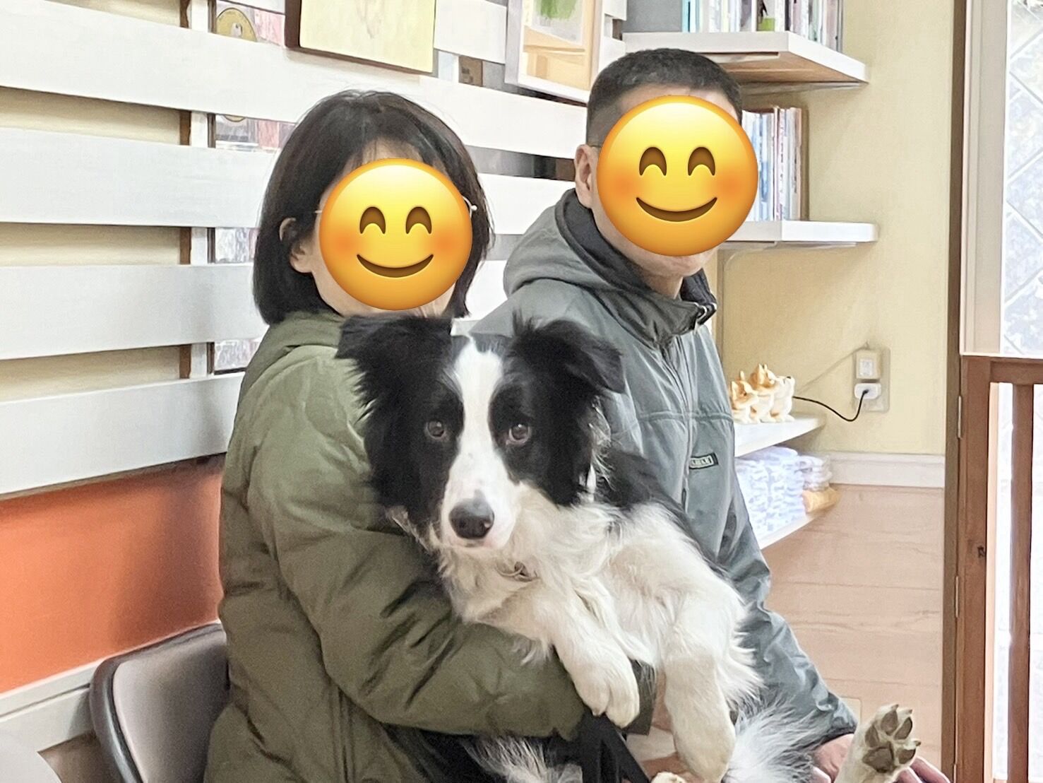 ヴィッセのレッスンは、本当に飼い主と犬に寄り添ったレッスンです。