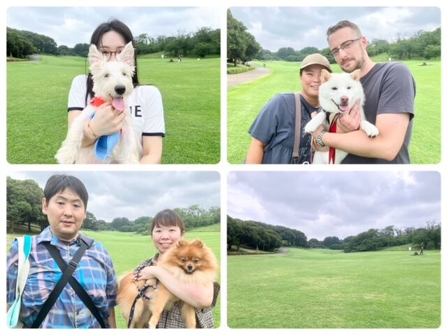 横浜市の犬のしつけ教室・出張レッスン・無駄吠えの矯正レッスンを行うドッグスクールヴィッセ～今日のわん子達～