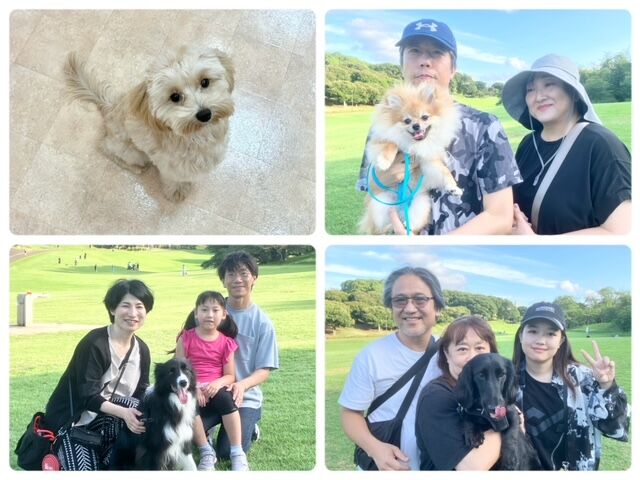 横浜市の犬のしつけ教室・出張レッスン・無駄吠えの矯正レッスンを行うドッグスクールヴィッセ～今日のわん子達～