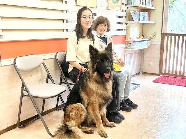 横浜市の犬のしつけ教室・出張レッスン・無駄吠えの矯正レッスンを行うドッグスクールヴィッセ～お客様の声～