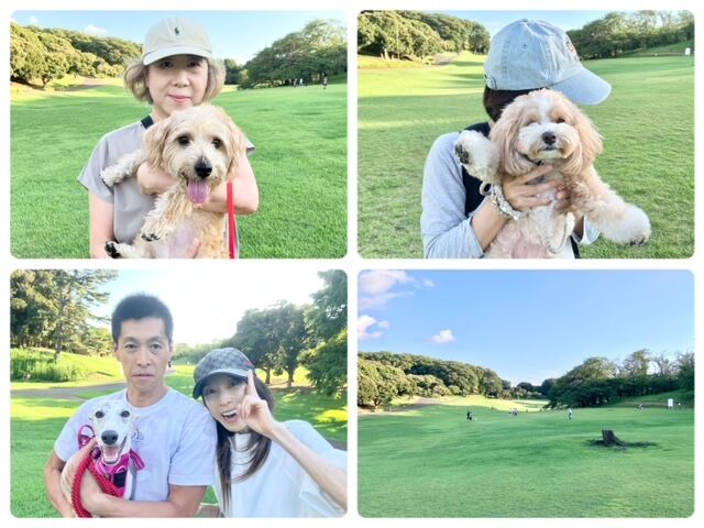 横浜市の犬のしつけ教室・出張レッスン・無駄吠えの矯正レッスンを行うドッグスクールヴィッセ～今日のわん子達～