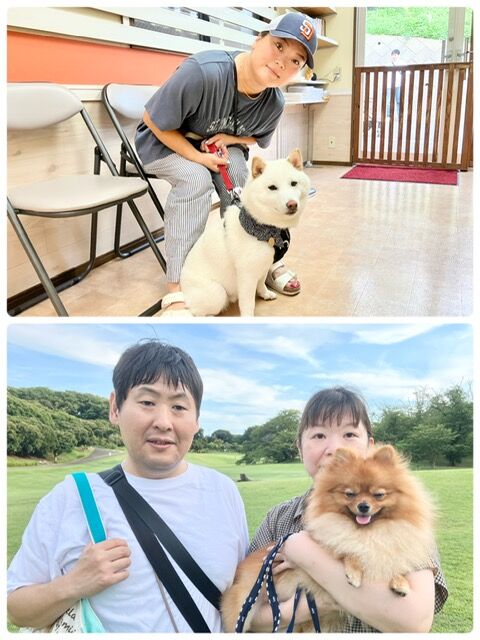 横浜市の犬のしつけ教室・出張レッスン・無駄吠えの矯正レッスンを行うドッグスクールヴィッセ～今日のわん子達～