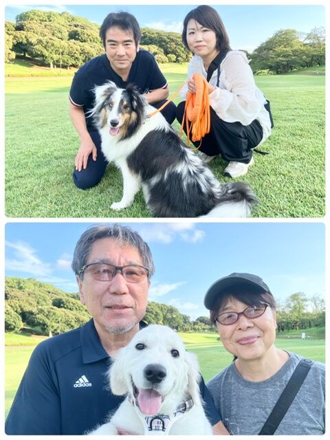 横浜市の犬のしつけ教室・出張レッスン・無駄吠えの矯正レッスンを行うドッグスクールヴィッセ～今日のわん子達～