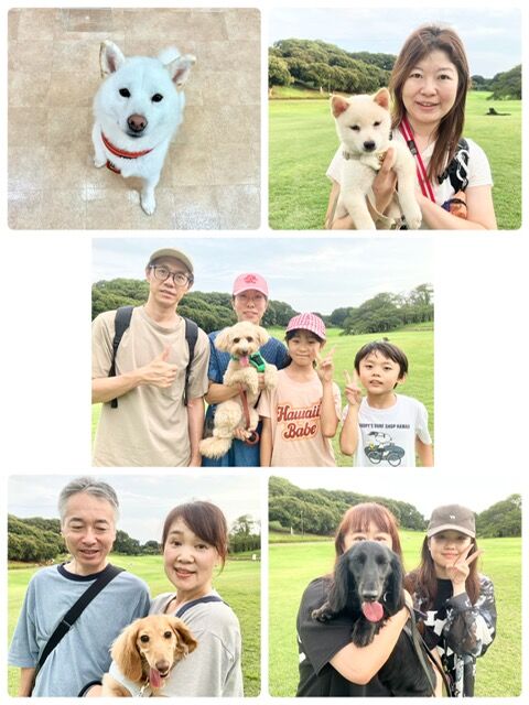 横浜市の犬のしつけ教室・出張レッスン・無駄吠えの矯正レッスンを行うドッグスクールヴィッセ～今日のわん子達～