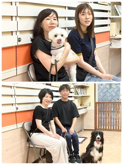 横浜市の犬のしつけ教室・出張レッスン・無駄吠えの矯正レッスンを行うドッグスクールヴィッセ～今日のわん子達～