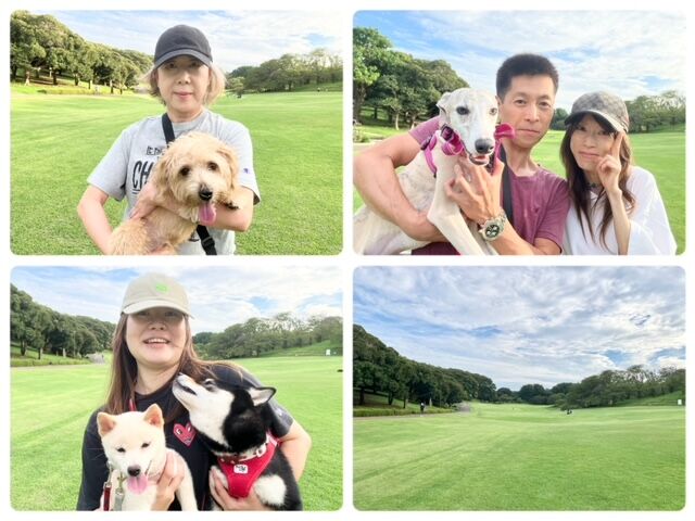 横浜市の犬のしつけ教室・出張レッスン・無駄吠えの矯正レッスンを行うドッグスクールヴィッセ～今日のわん子達～