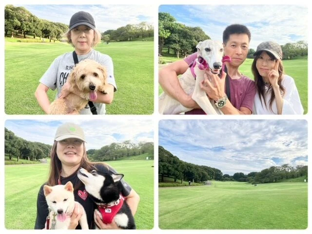 横浜市の犬のしつけ教室・出張レッスン・無駄吠えの矯正レッスンを行うドッグスクールヴィッセ～今日のわん子達～