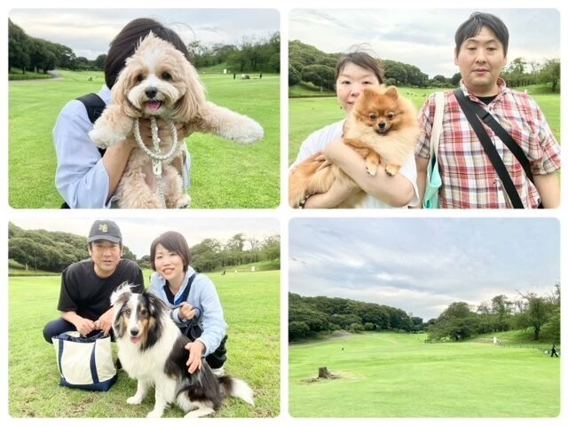 横浜市の犬のしつけ教室・出張レッスン・無駄吠えの矯正レッスンを行うドッグスクールヴィッセ～今日のわん子達～